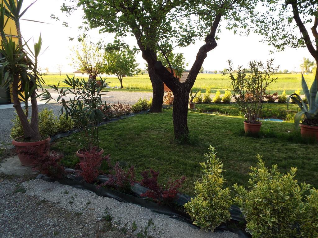 B&B Il Portico Praticello di Gattatico 외부 사진